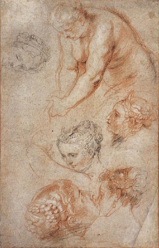 Peter Paul Rubens Woman sketch France oil painting art